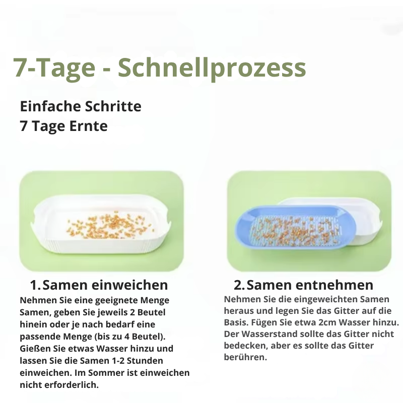 Hydroponisches Katzengras Anzuchtset