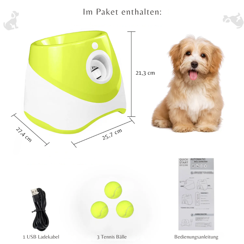 Automatischer Tennisball-Werfer für Hunde
