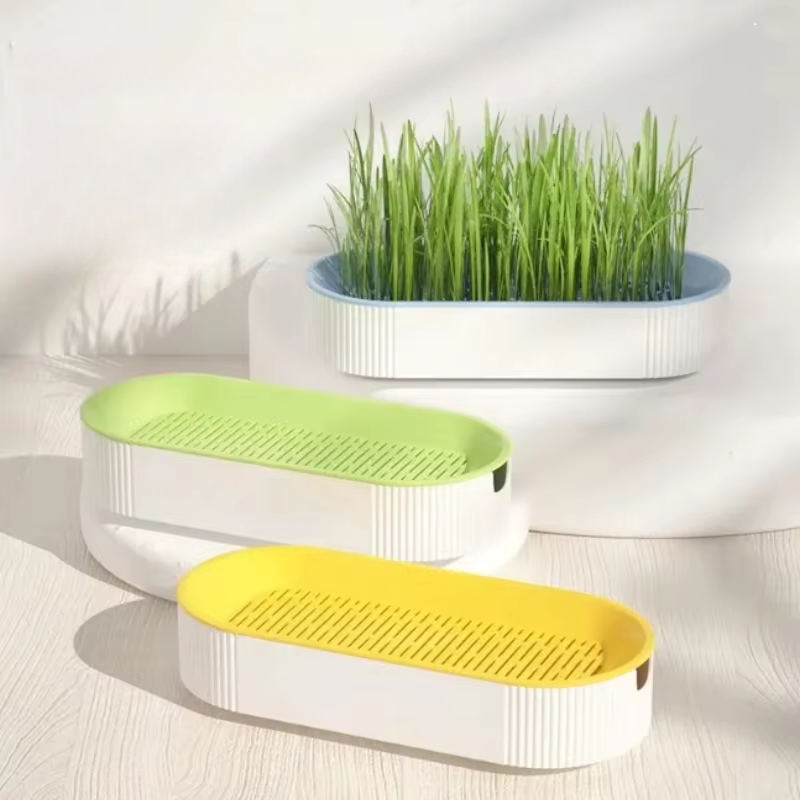 Hydroponisches Katzengras Anzuchtset